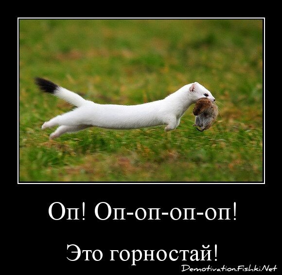 Оп! Оп-оп-оп-оп!