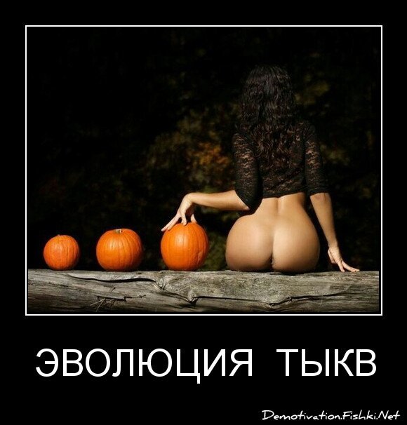 эволюция  тыкв