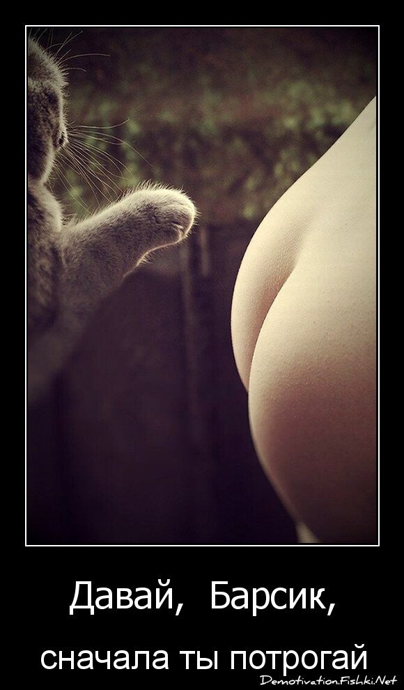 Давай,  Барсик,