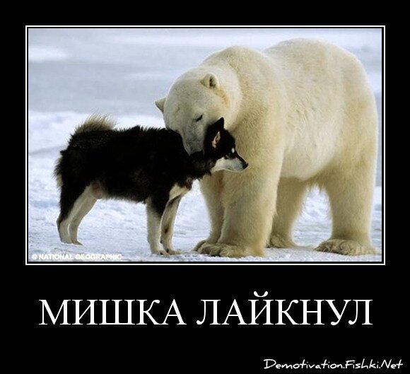 мишка лайкнул