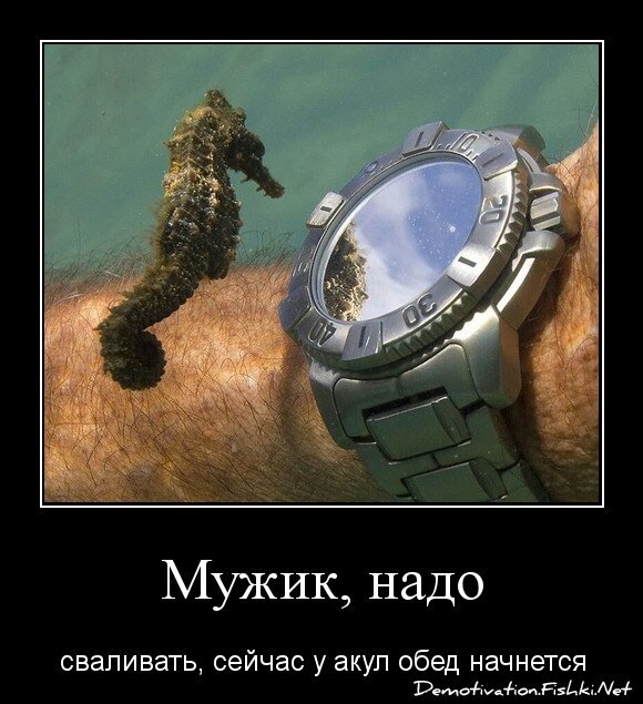 Мужик, надо