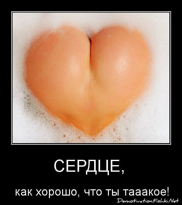 сердце, 