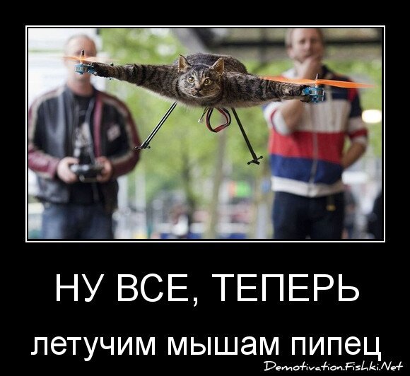 ну все, теперь