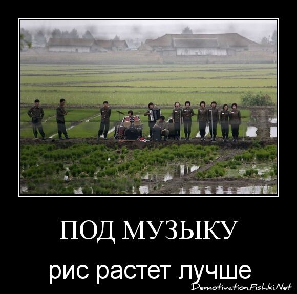 под музыку