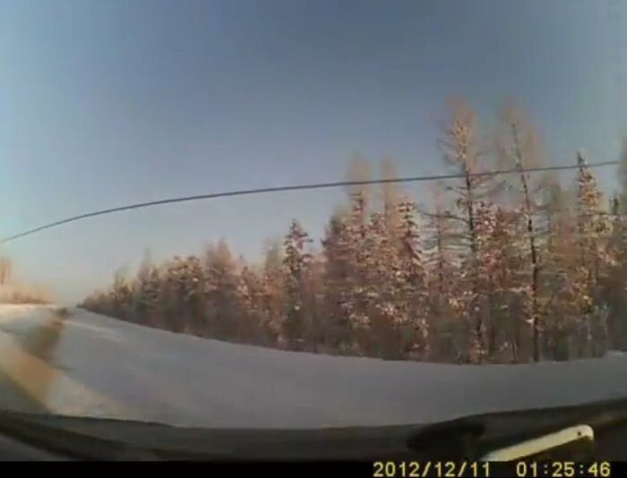 Видео дня