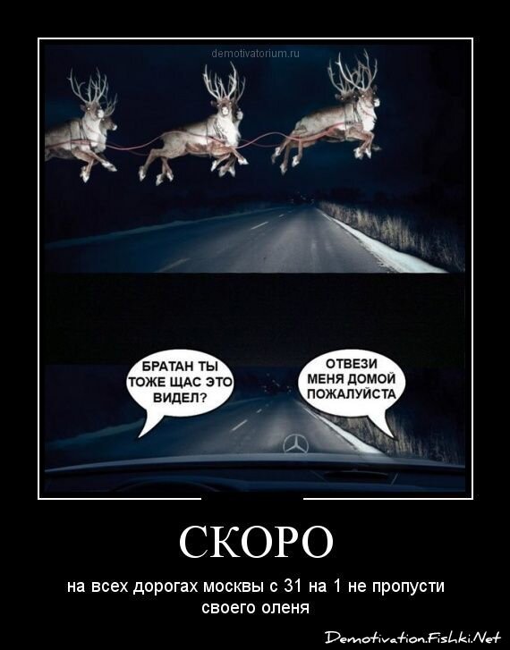 Смешной демотиватор от zubrilov за 21.12.2012 №141014