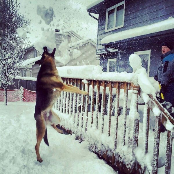 Фотоприкол онлайн бесплатно