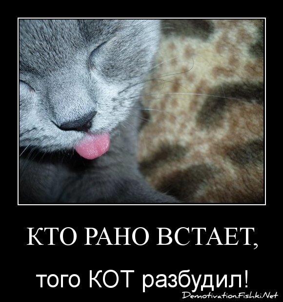 Кто рано встает,