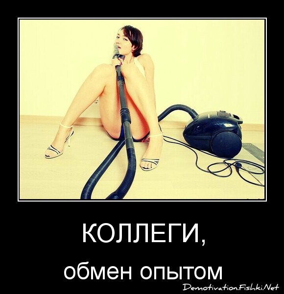 коллеги,
