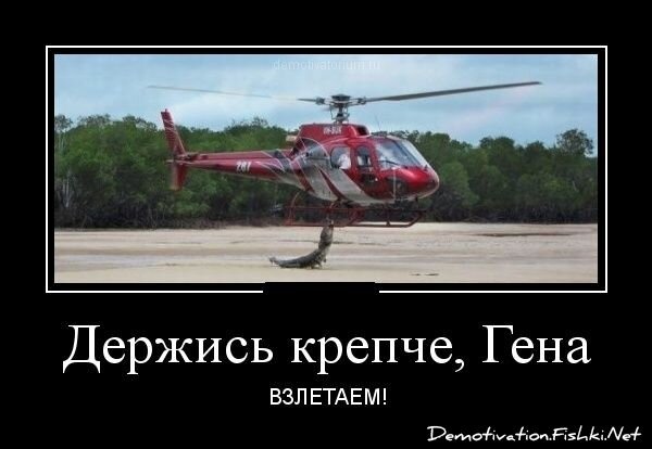 Смешной демотиватор от zubrilov за 26.12.2012 №141425