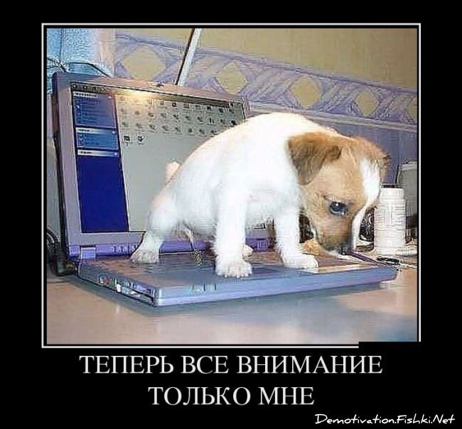 Смешной демотиватор от zubrilov за 26.12.2012 №141457