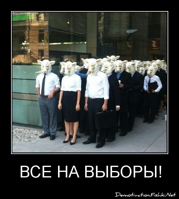 все на выборы!