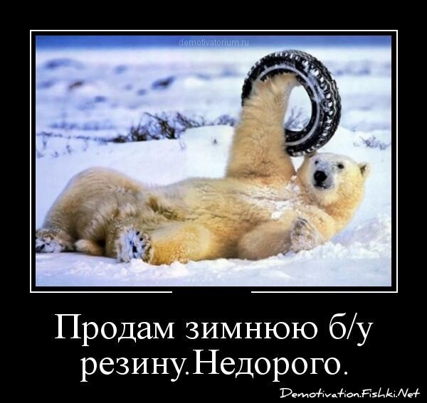 Смешной демотиватор от zubrilov за 28.12.2012 №141661