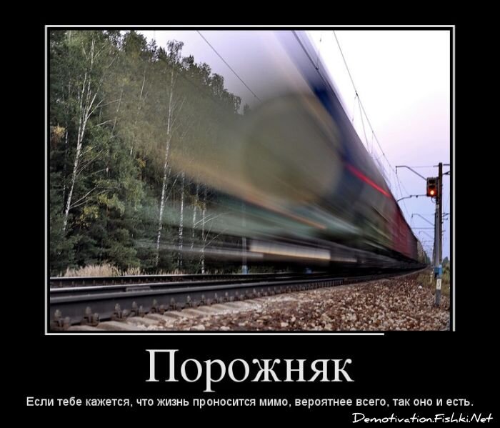 Смешной демотиватор от zubrilov за 28.12.2012 №141674