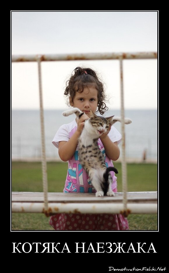 Котяка наезжака