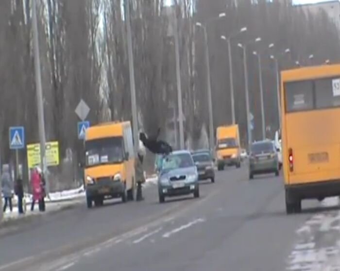 Видео дня