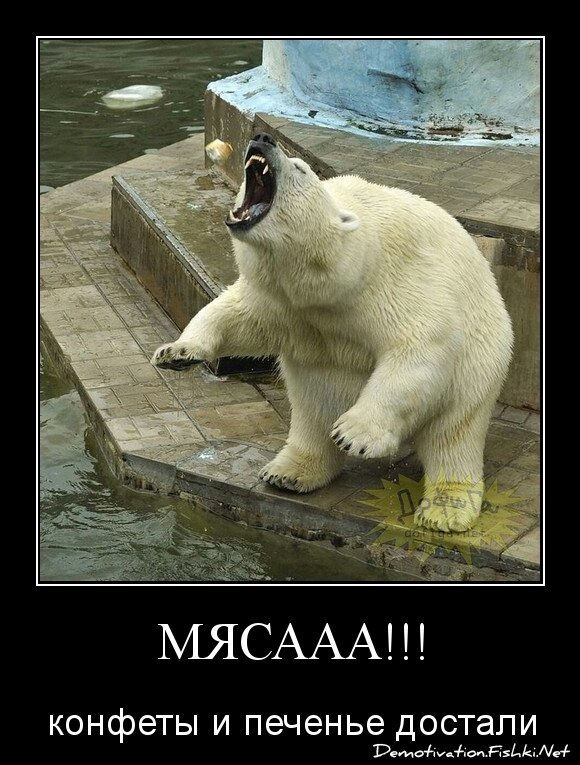 мясааа!!!