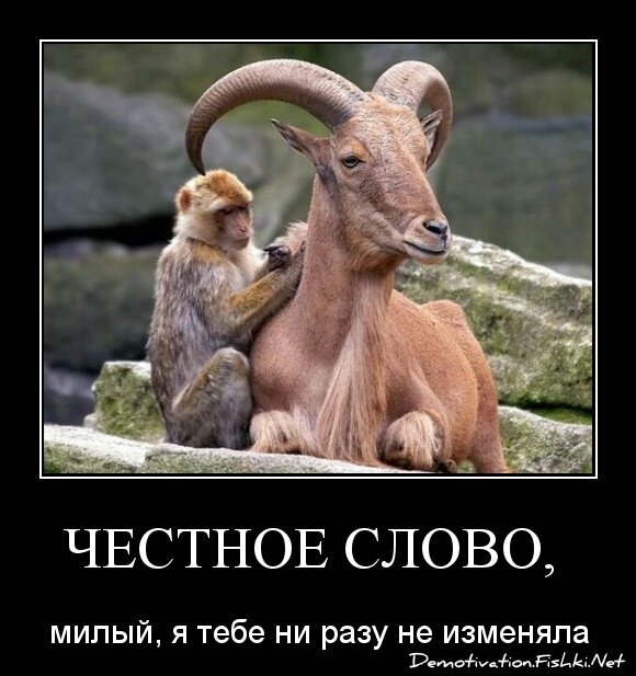 честное слово, 