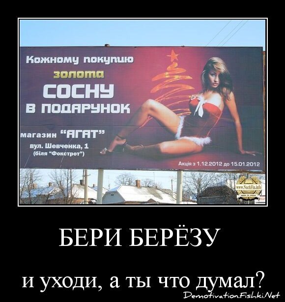 бери берёзу 