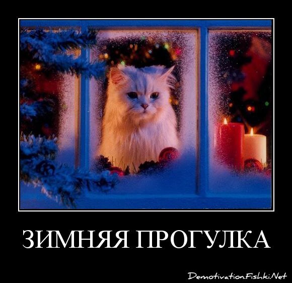 зимняя прогулка