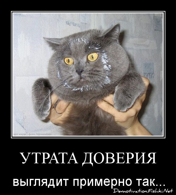 Утрата доверия