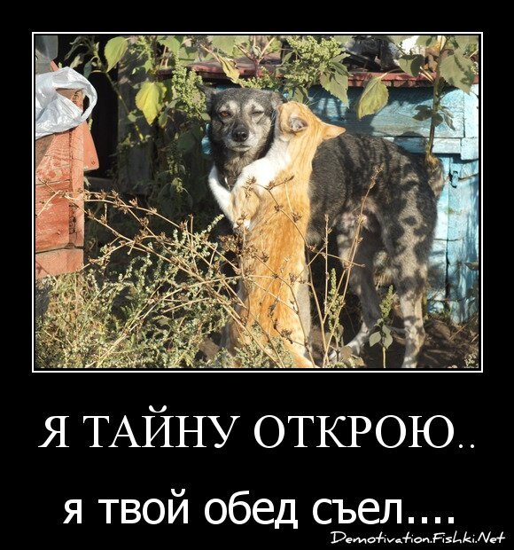 Я ТАЙНУ ОТКРОЮ..