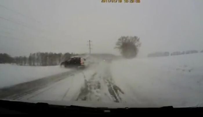 Видео дня
