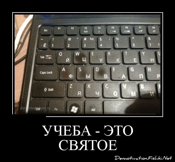 Смешной демотиватор от zubrilov за 11.01.2013 №142287