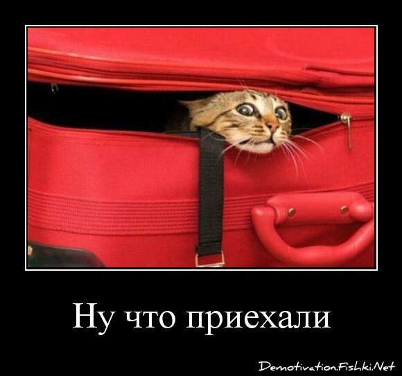 Ну что приехали