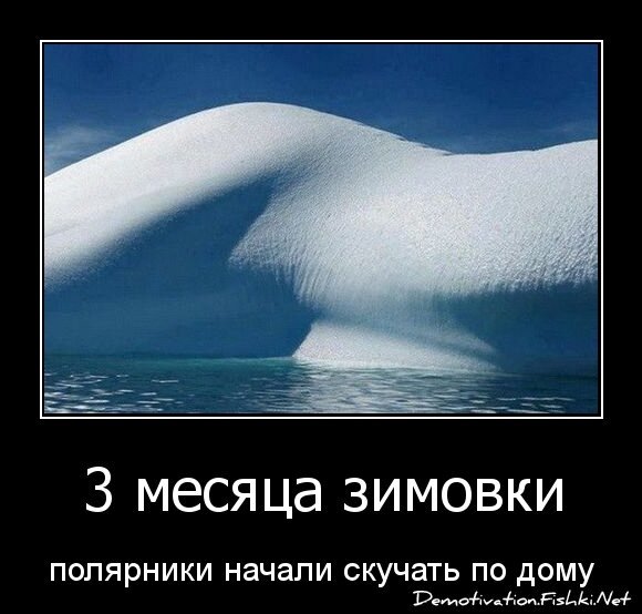 3 месяца зимовки