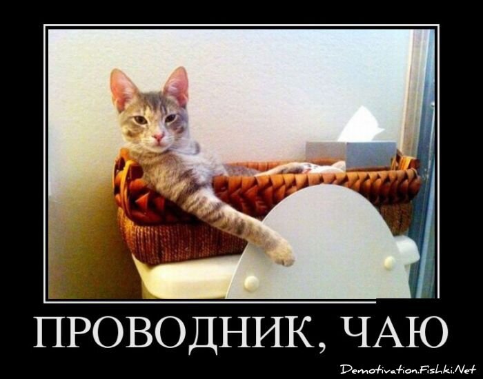 Смешной демотиватор от zubrilov за 14.01.2013 №142435