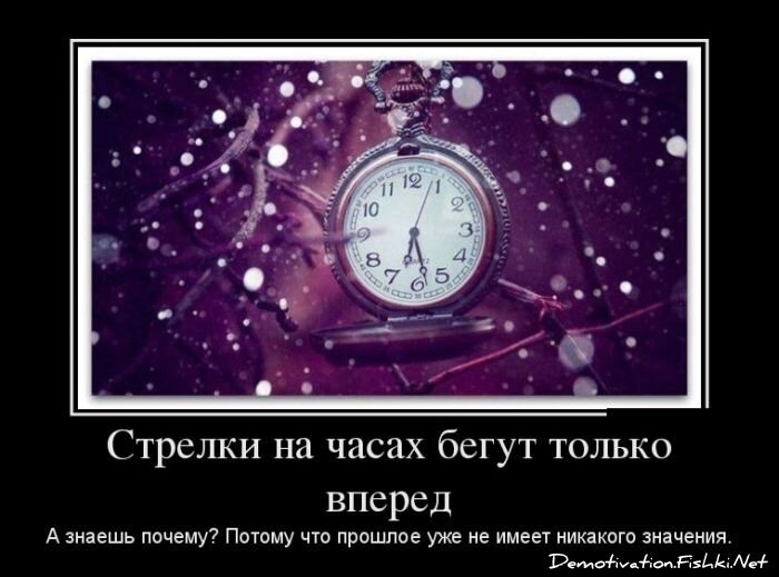 Смешной демотиватор от zubrilov за 14.01.2013 №142437