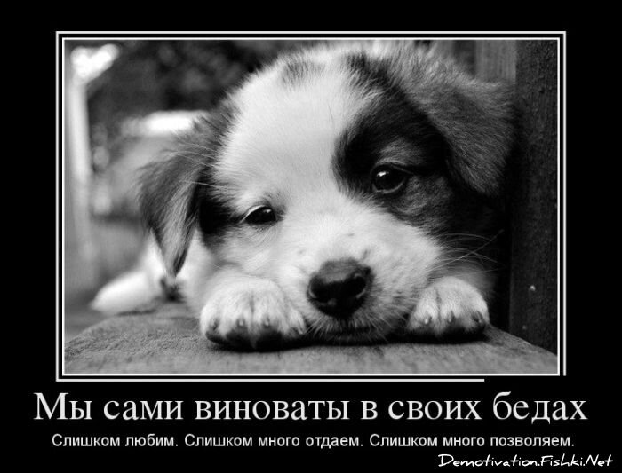 Смешной демотиватор от zubrilov за 14.01.2013 №142442
