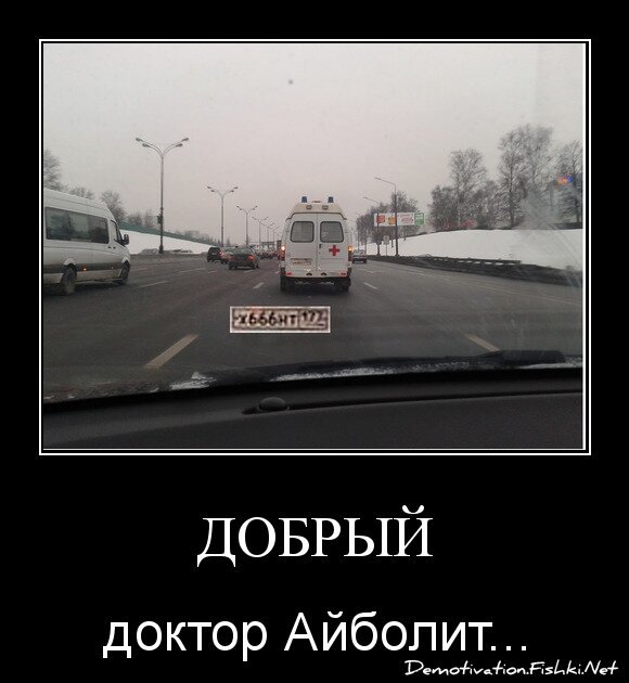 добрый