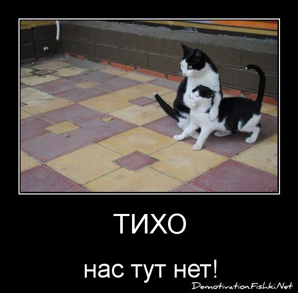 ТИХО