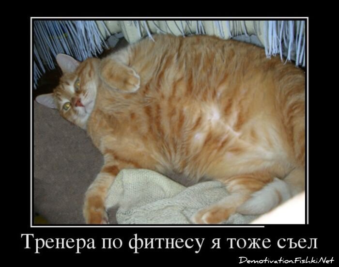 Смешной демотиватор от zubrilov за 16.01.2013 №142757