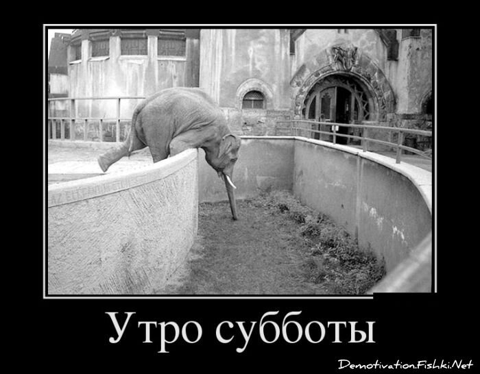 Смешной демотиватор от zubrilov за 21.01.2013 №143269