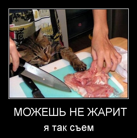  можешь не жарить