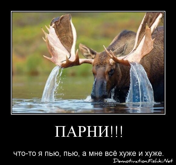 ПАРНИ!!!
