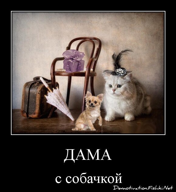 дама