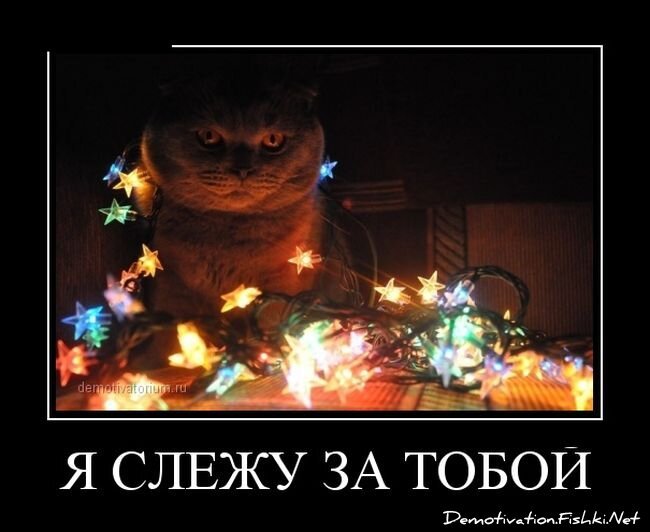 Смешной демотиватор от zubrilov за 25.01.2013 №143821
