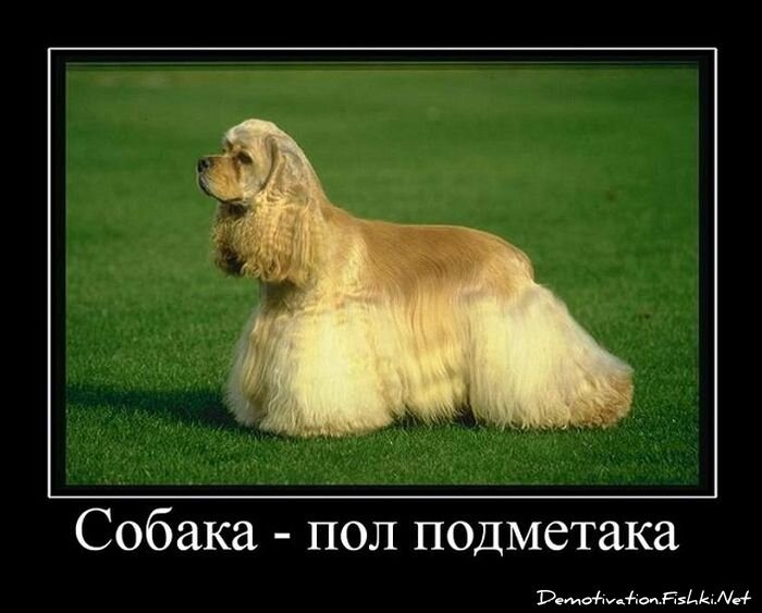 Смешной демотиватор от zubrilov за 25.01.2013 №143823