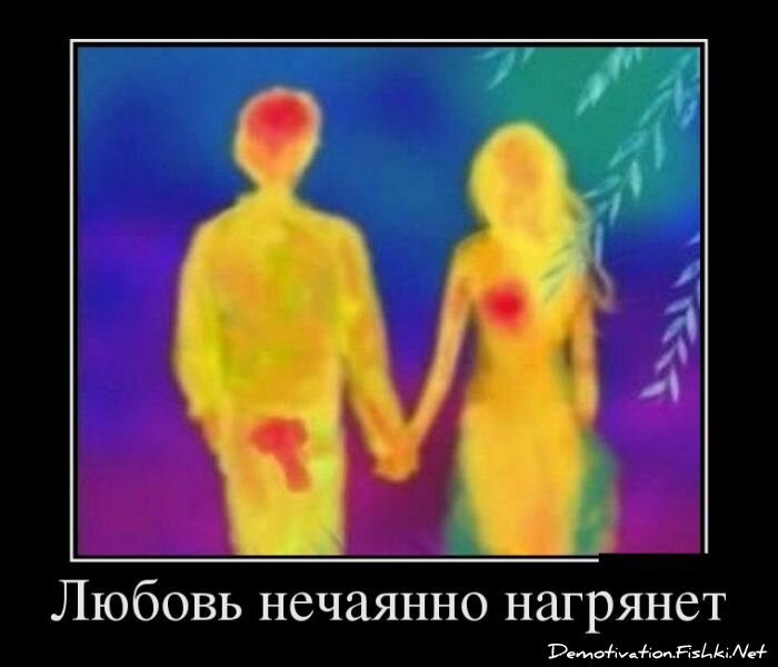 Смешной демотиватор от zubrilov за 28.01.2013 №143980