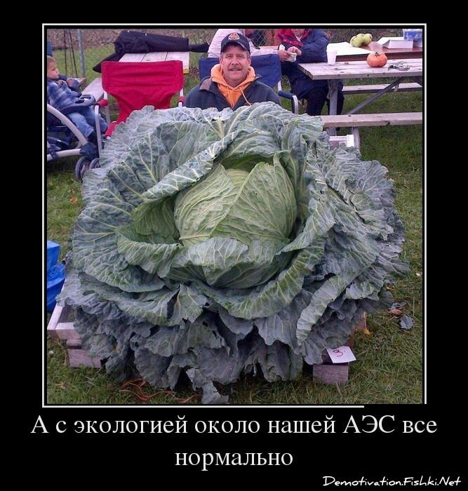 Смешной демотиватор от zubrilov за 28.01.2013 №144000