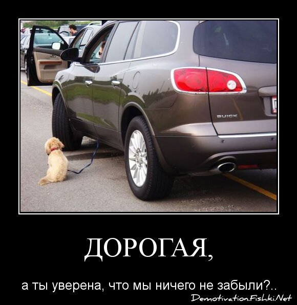 Дорогая,