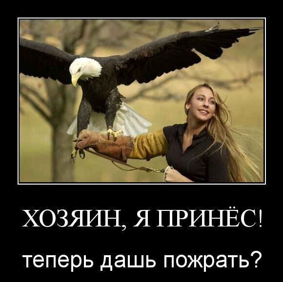 Хозяин, я принёс!
