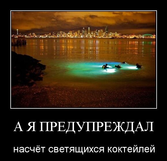 А я предупреждал