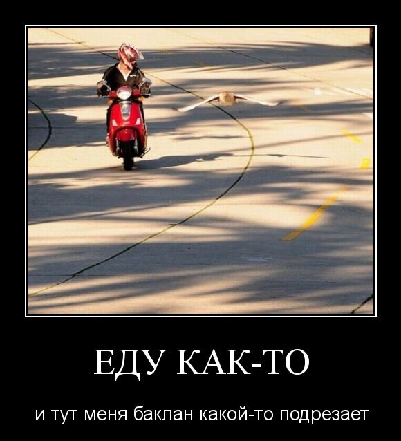 Еду как-то