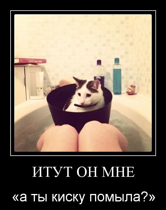 Итут он мне