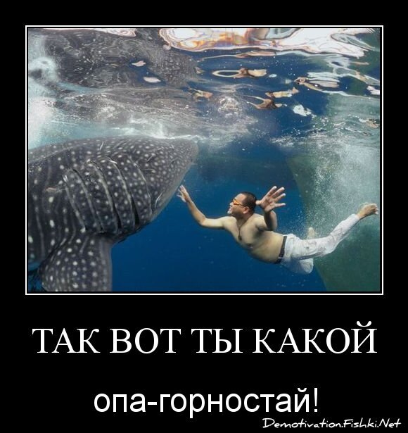 Так вот ты какой